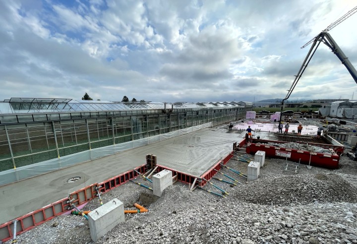 IMG 4687 zugeschnitten